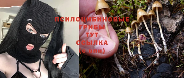 МДПВ Осинники