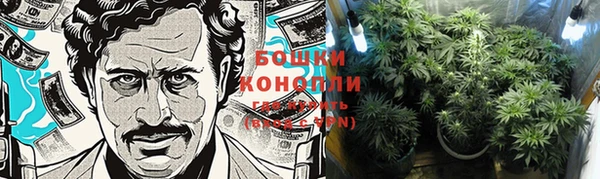 МДПВ Осинники