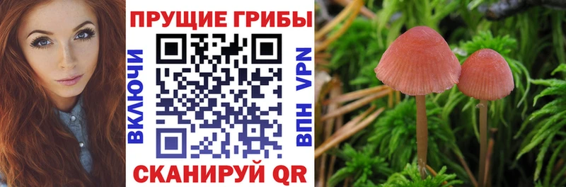 гидра ONION  Майский  Псилоцибиновые грибы MAGIC MUSHROOMS 